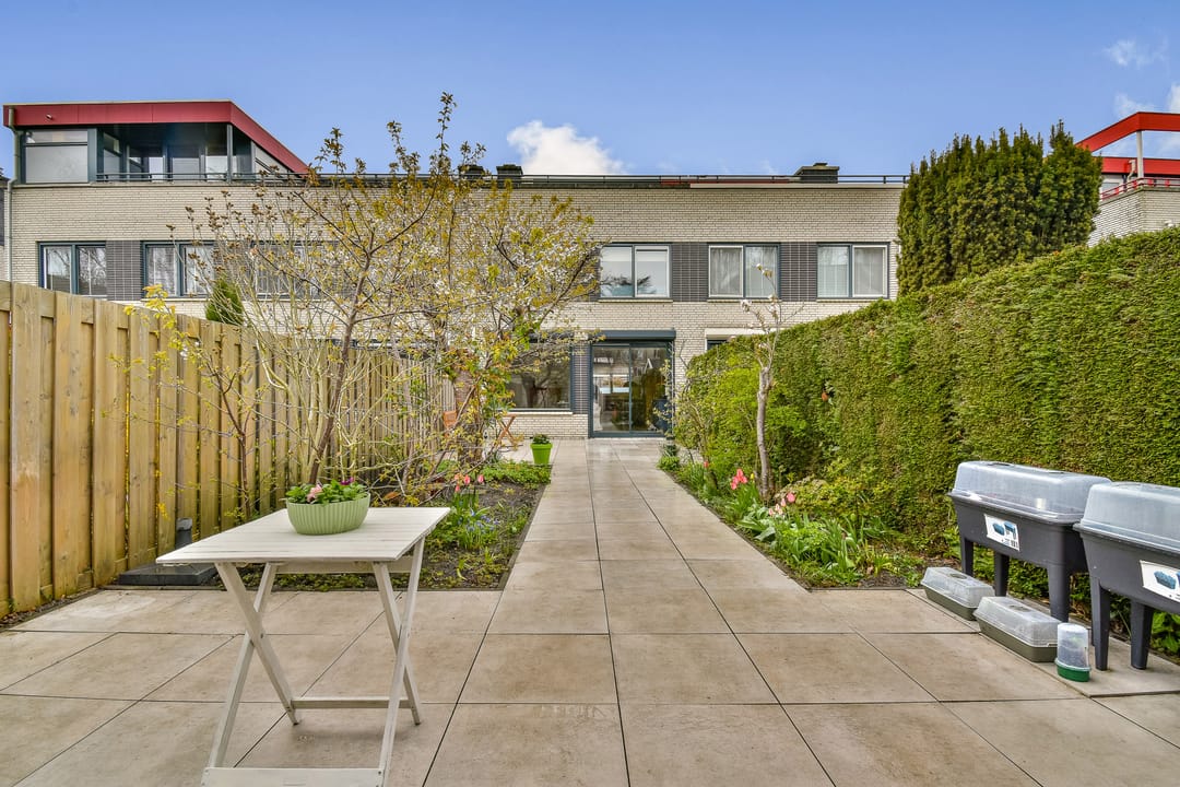 Foto 11 van Christoffelkruid 7