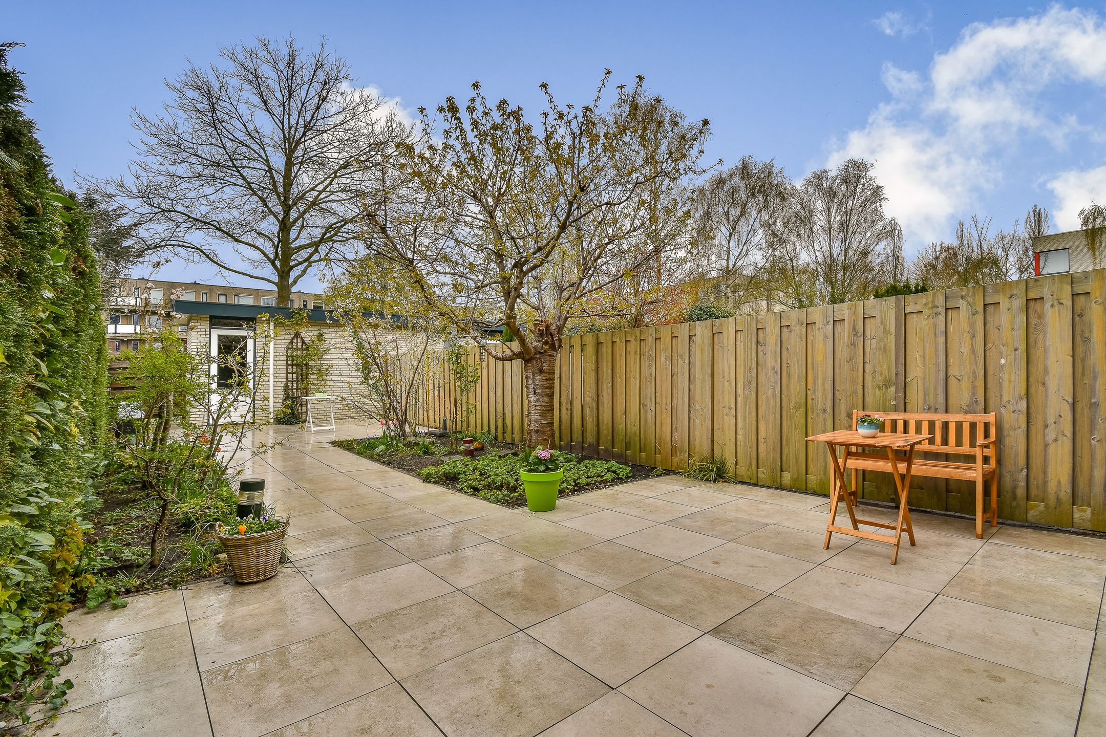 Foto 12 van Christoffelkruid 7