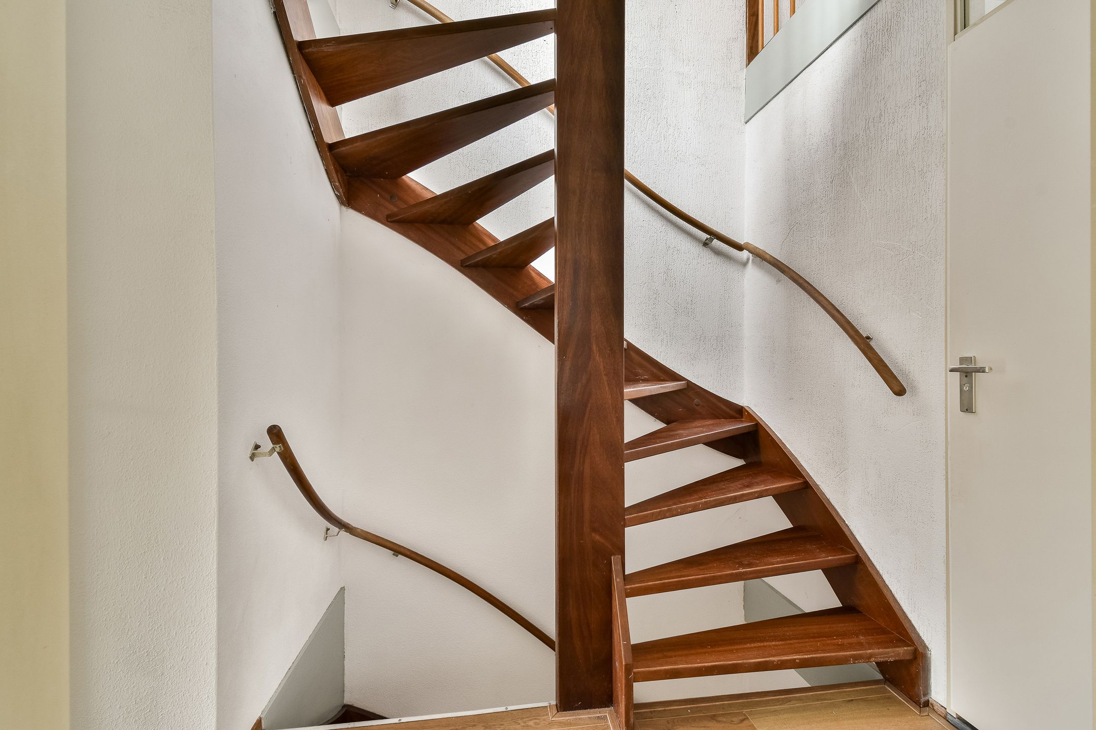 Foto 15 van Christoffelkruid 7