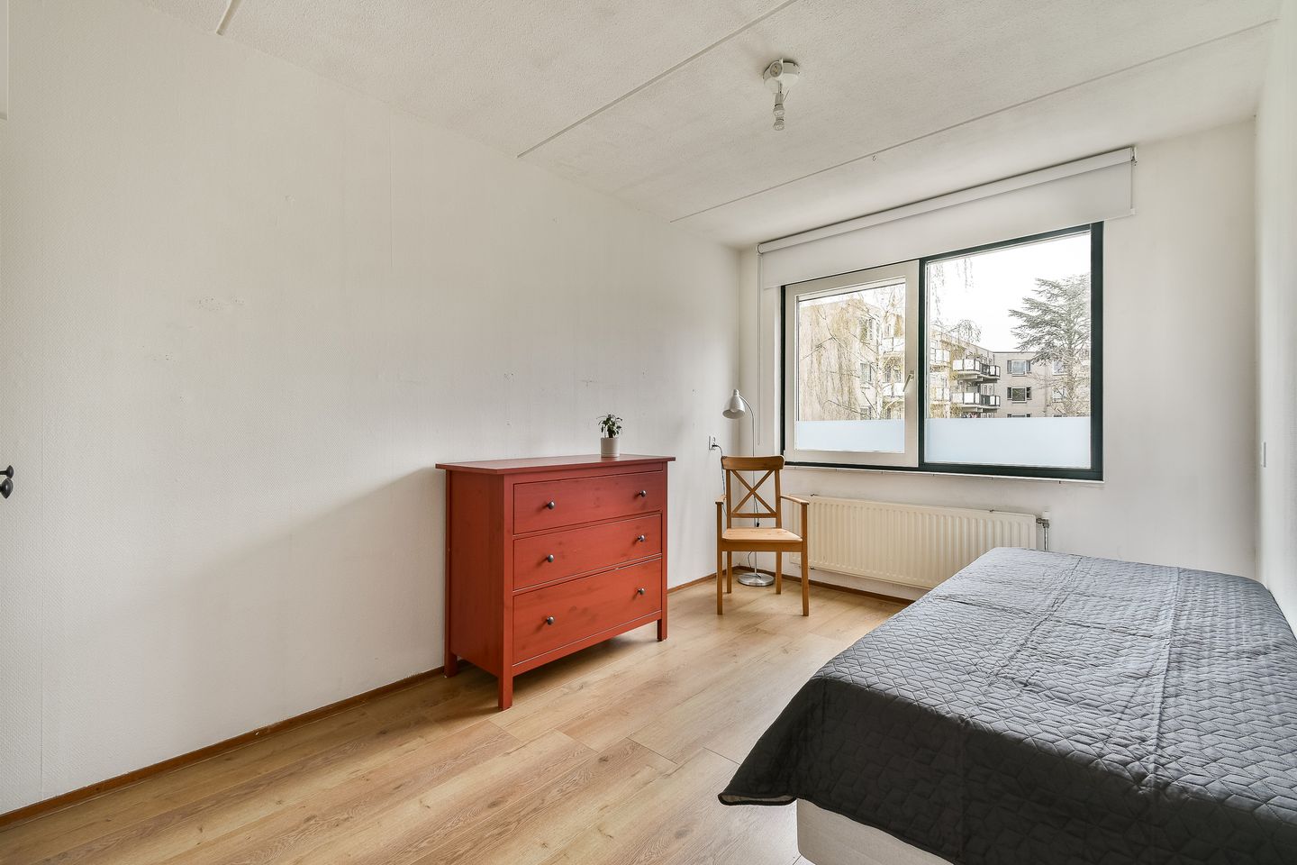 Foto 20 van Christoffelkruid 7