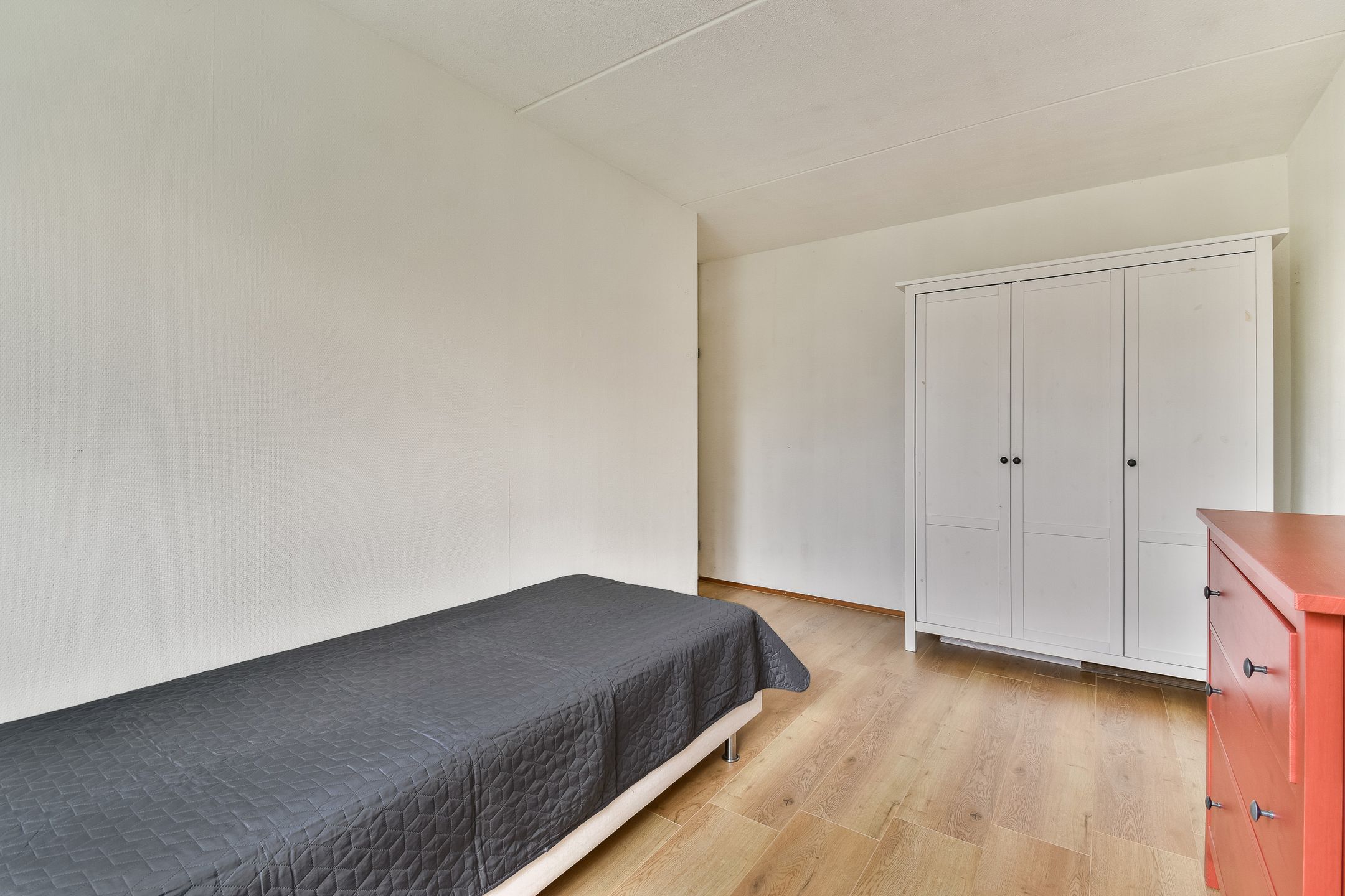 Foto 21 van Christoffelkruid 7