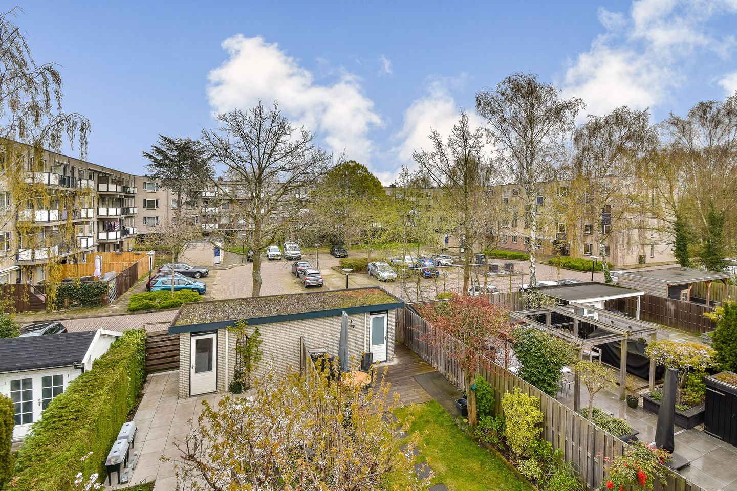 Foto 29 van Christoffelkruid 7