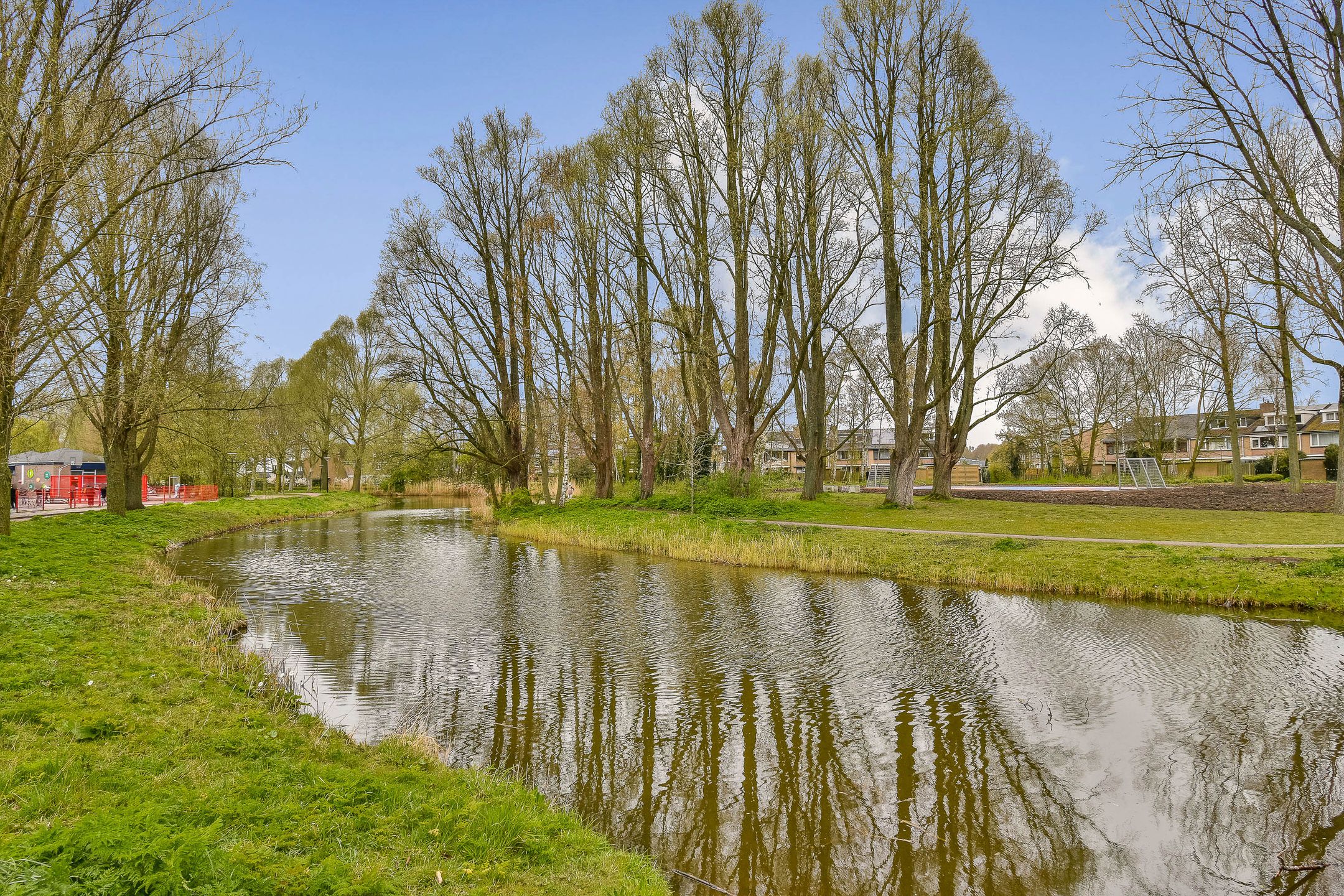 Foto 30 van Christoffelkruid 7