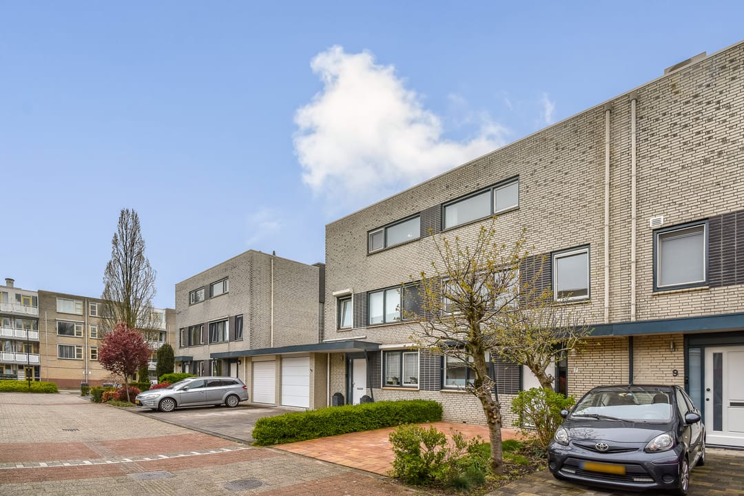 Foto 31 van Christoffelkruid 7