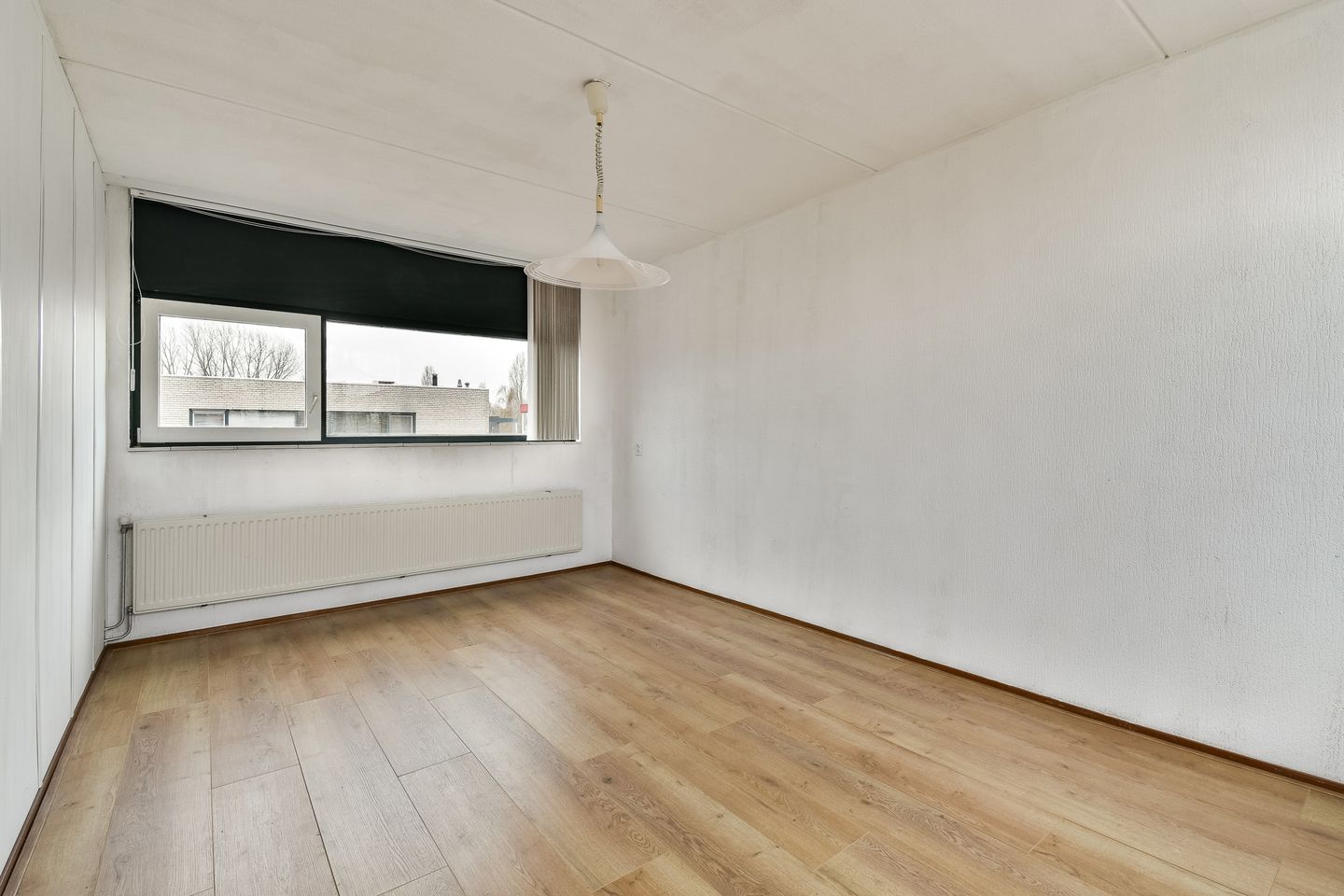 Foto 25 van Christoffelkruid 7