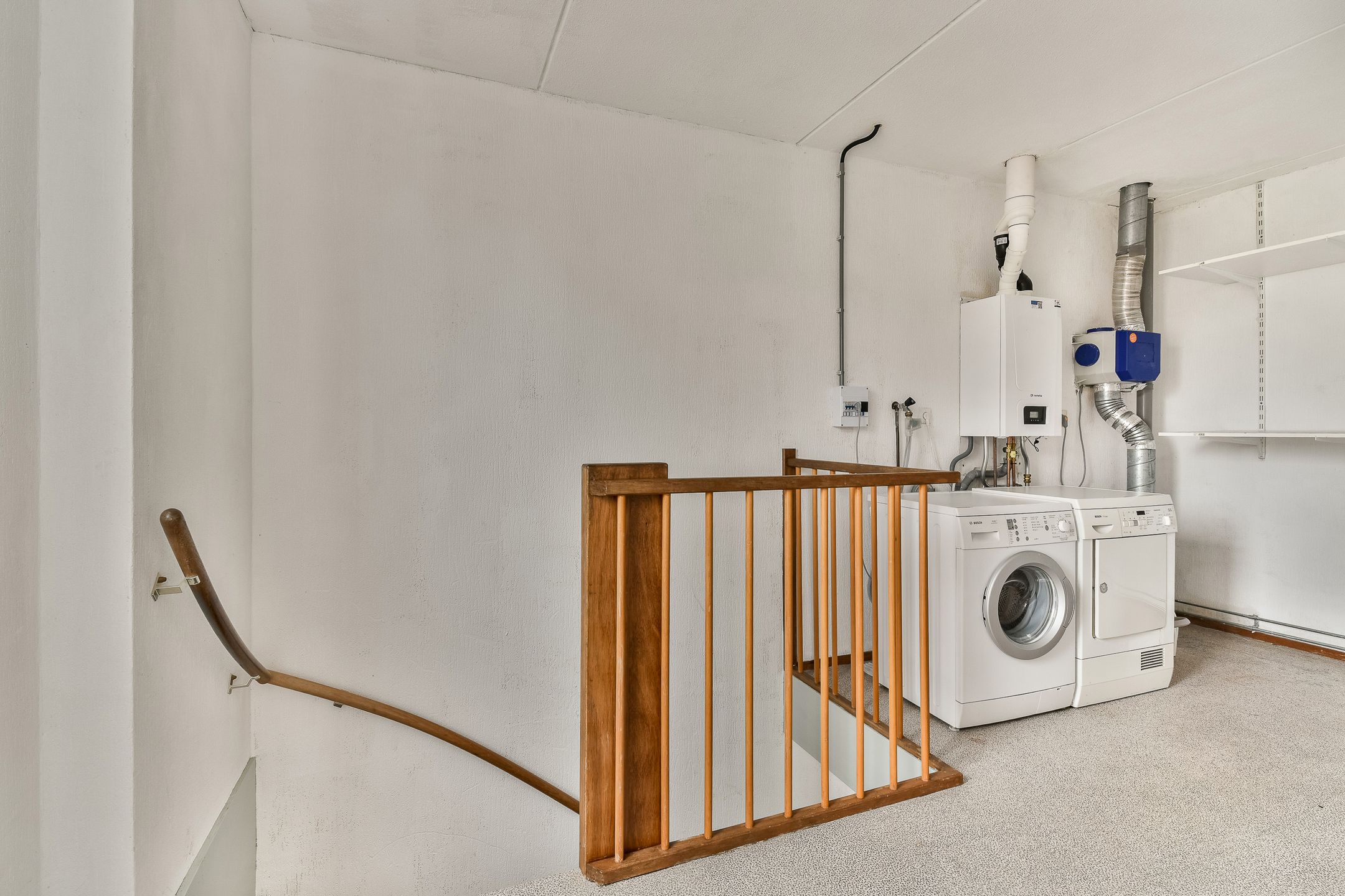 Foto 24 van Christoffelkruid 7