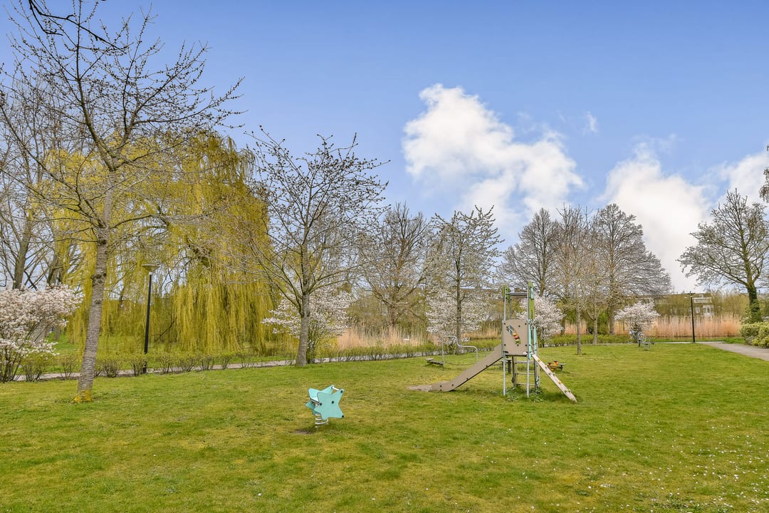 Foto 32 van Christoffelkruid 7