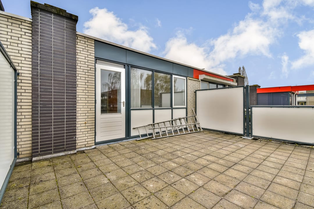 Foto 28 van Christoffelkruid 7