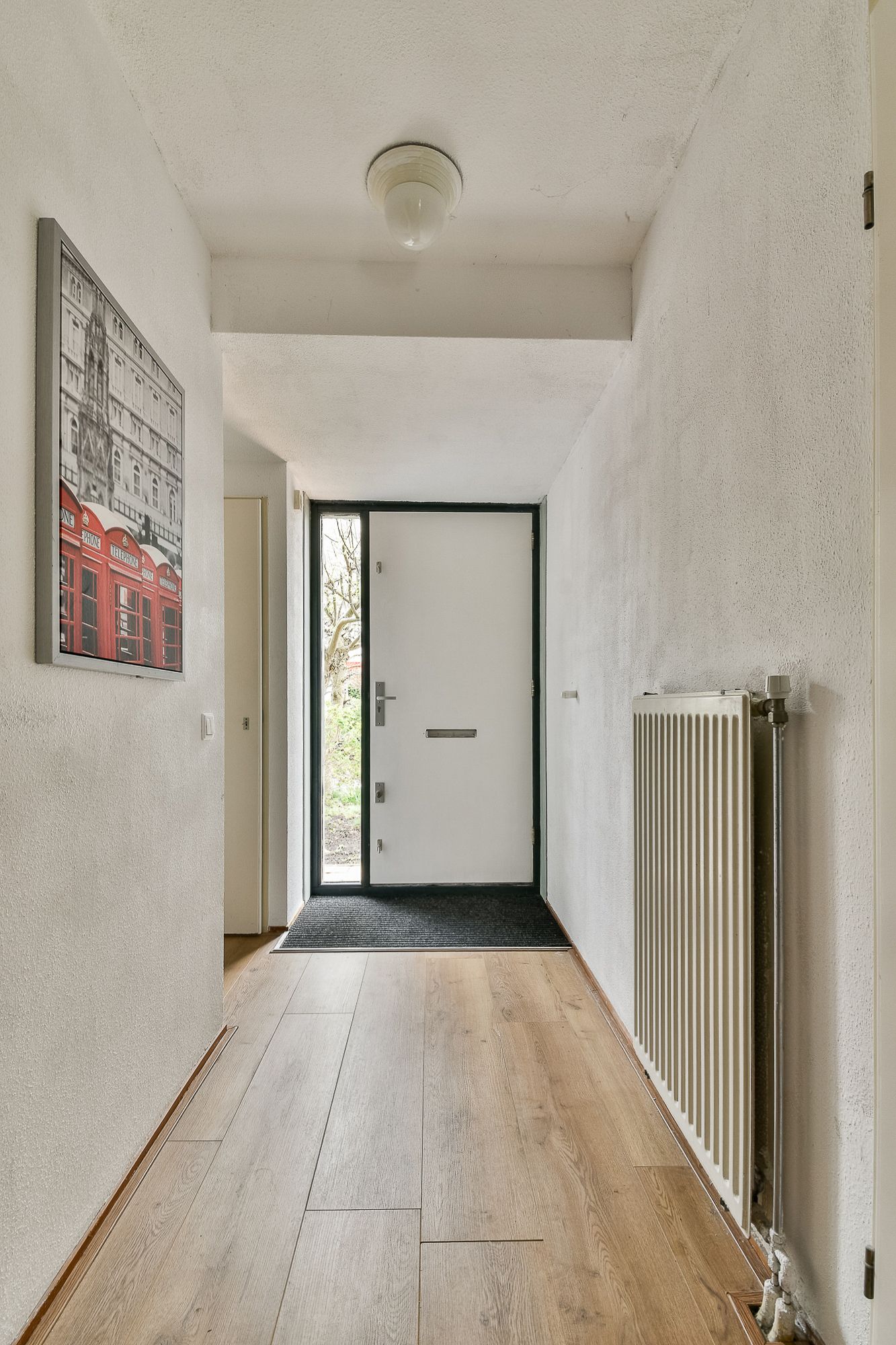 Foto 5 van Christoffelkruid 7