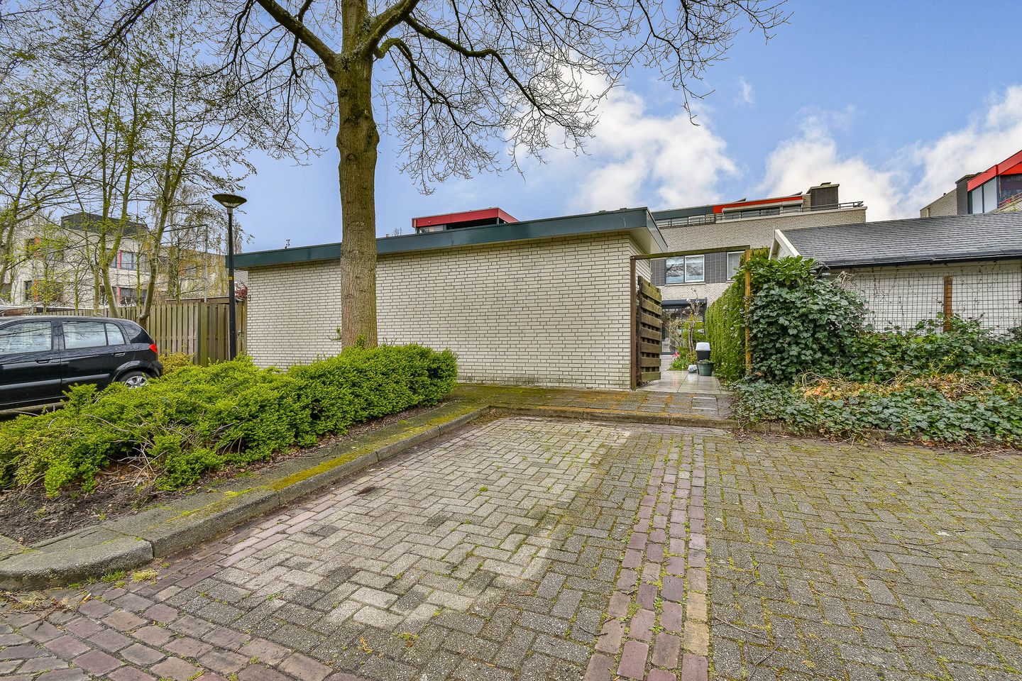 Foto 14 van Christoffelkruid 7