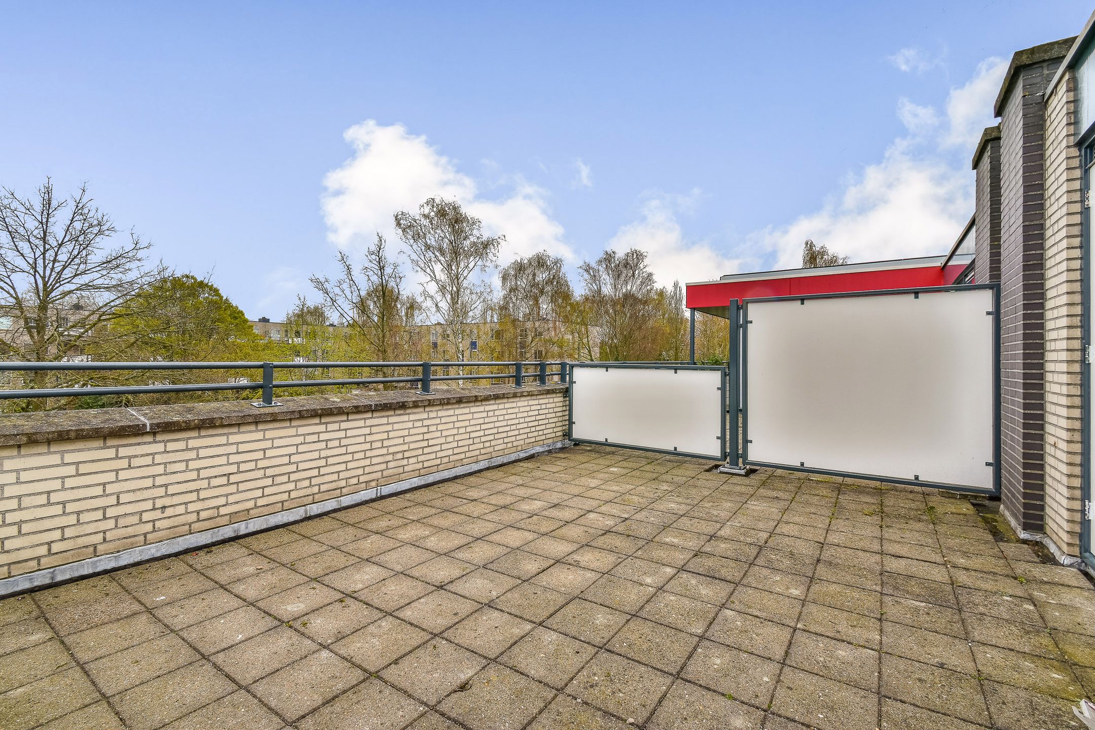 Foto 27 van Christoffelkruid 7