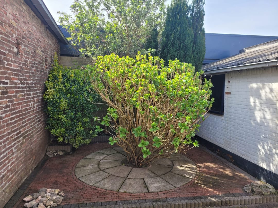 Foto 43 van Adrianastraat 17