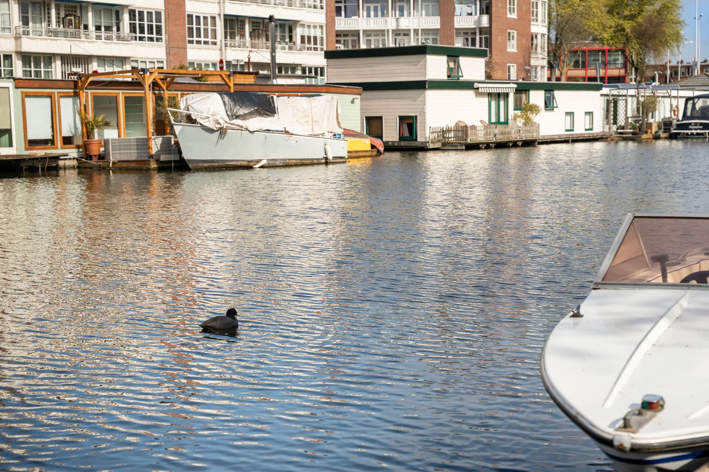 Foto 35 van Veenendaalkade 28