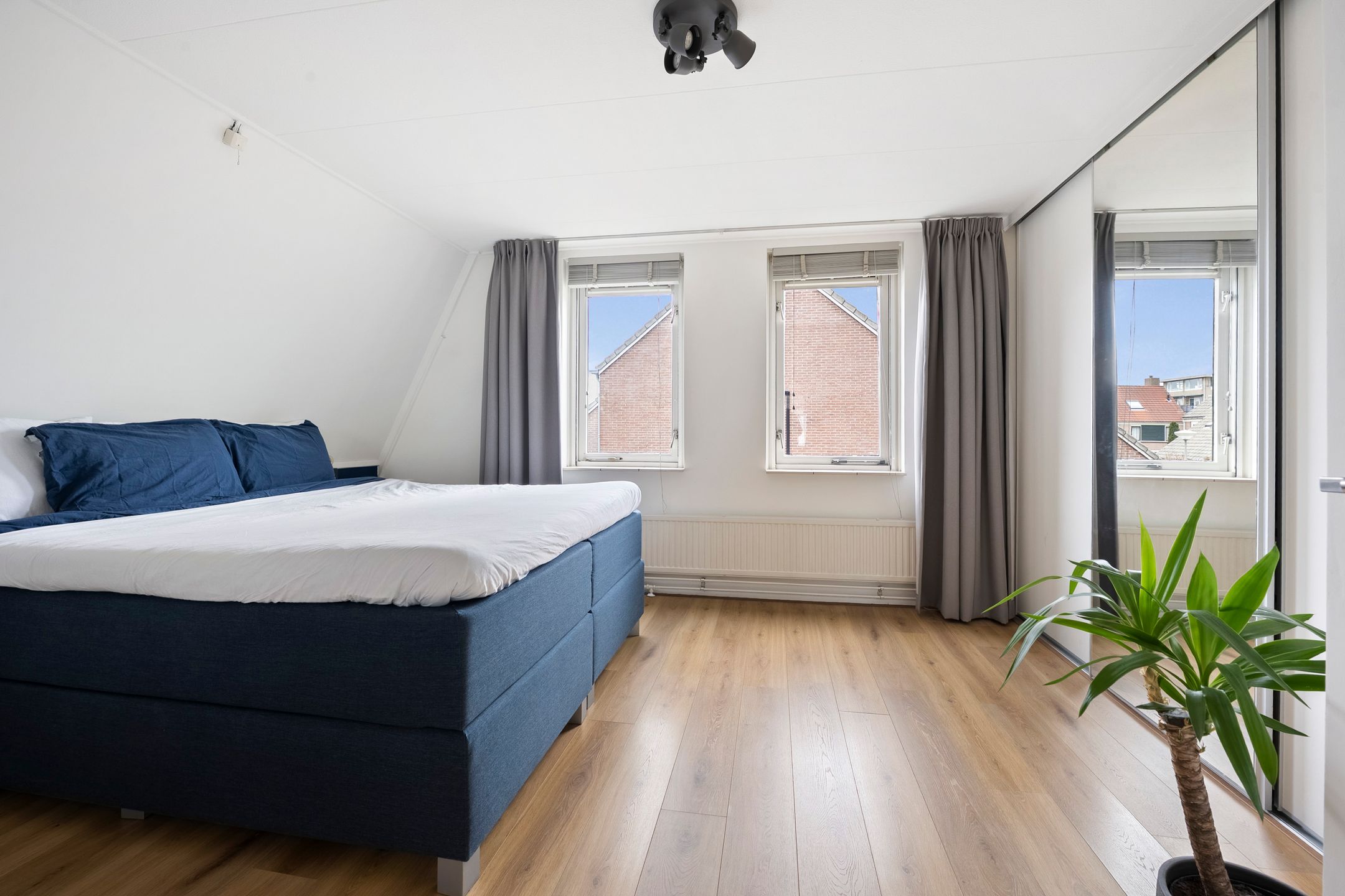 Foto 27 van Pijlkruid 29