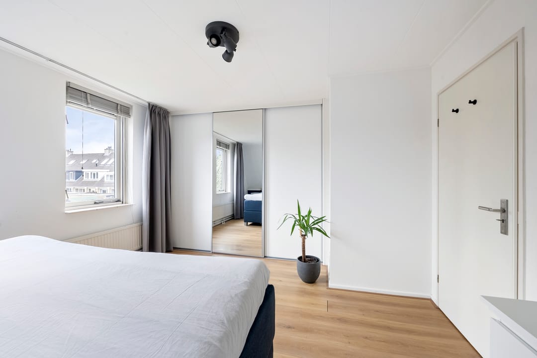 Foto 28 van Pijlkruid 29