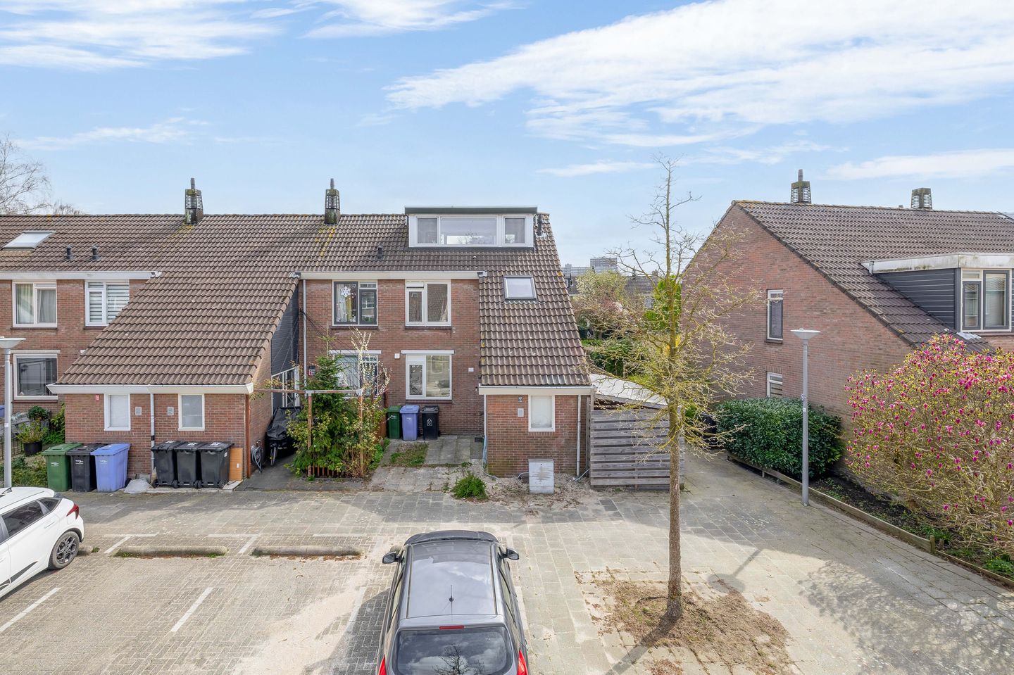 Photo 1 of Rode Klaver 23