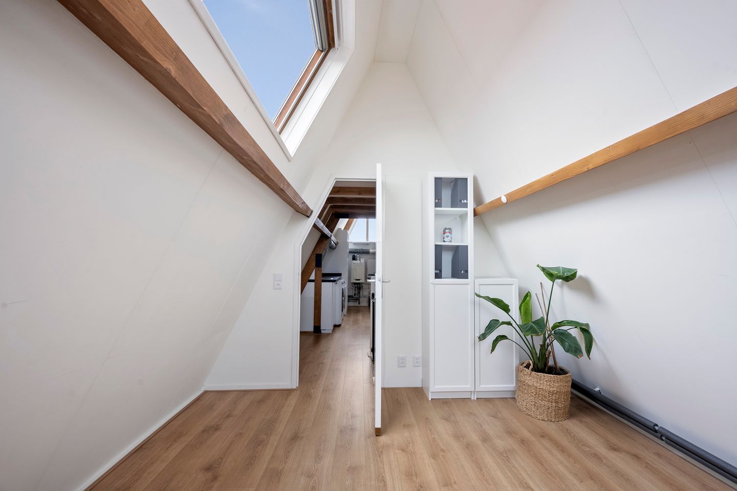 Foto 40 van Pijlkruid 29