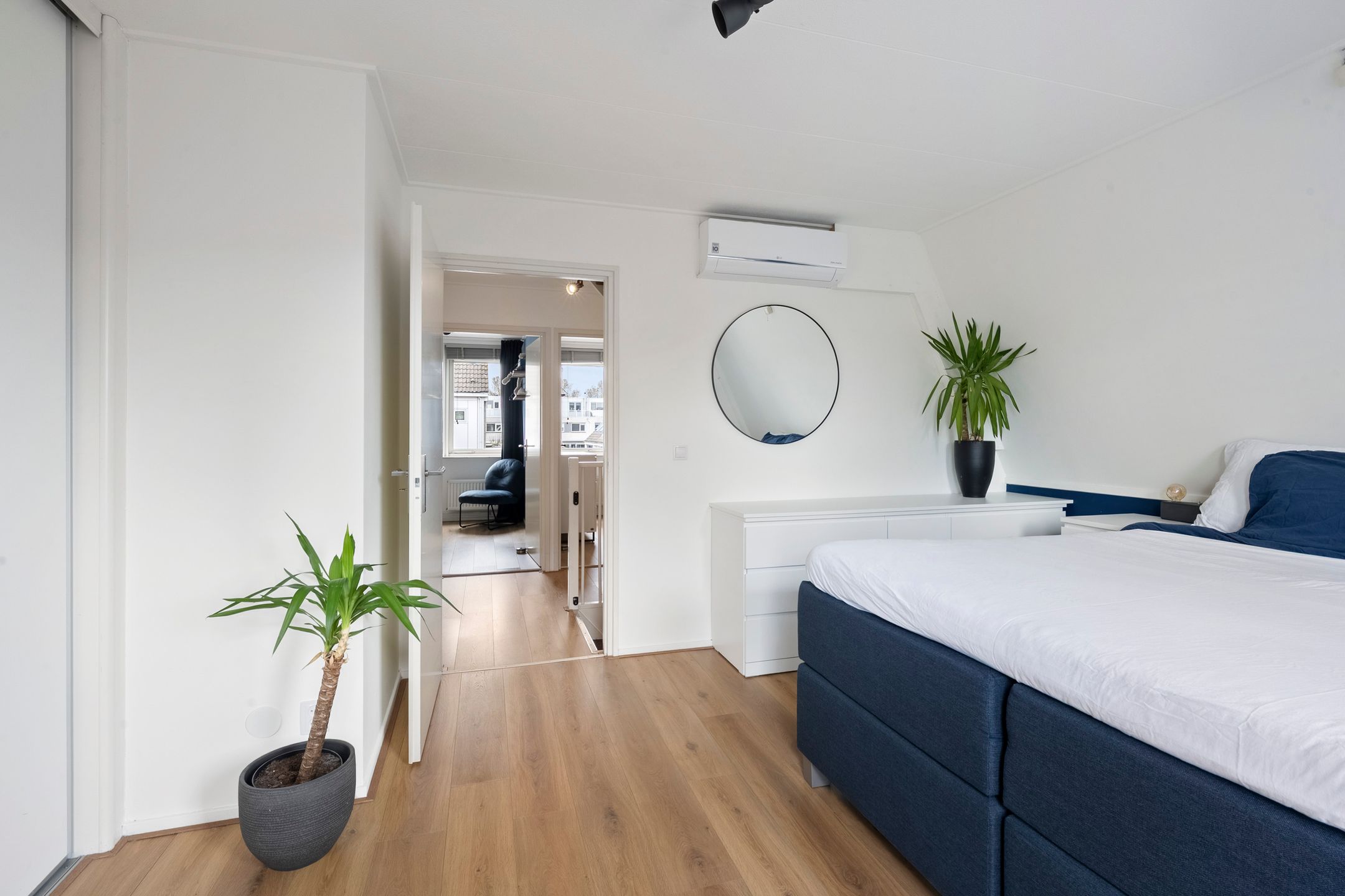 Foto 30 van Pijlkruid 29