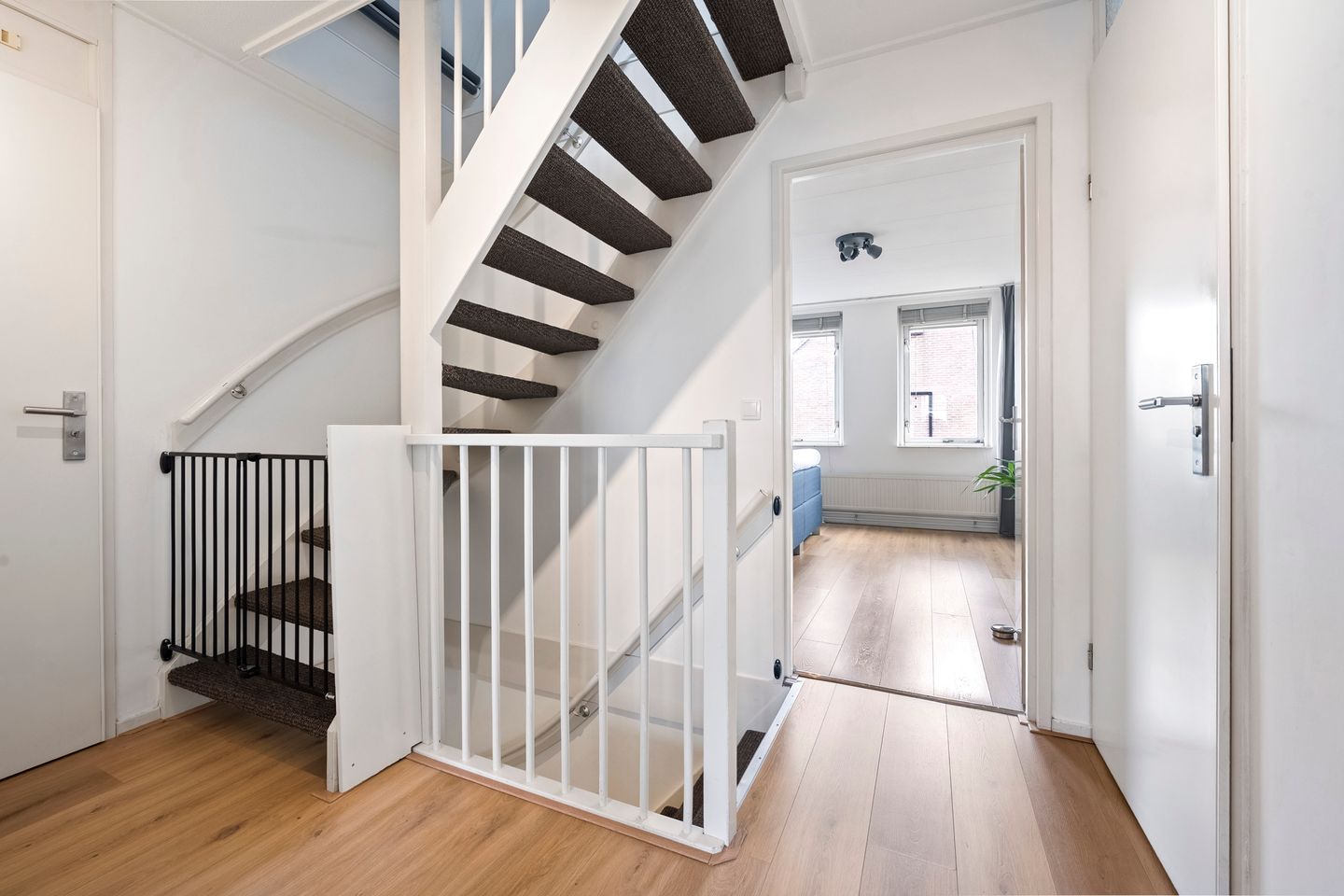 Foto 25 van Pijlkruid 29