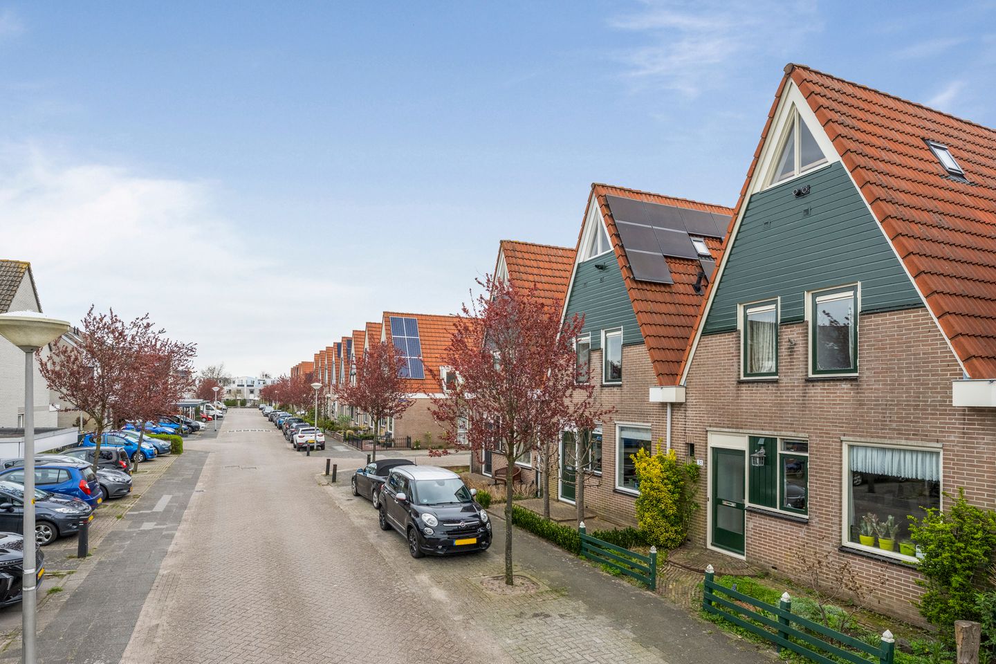 Foto 49 van Pijlkruid 29