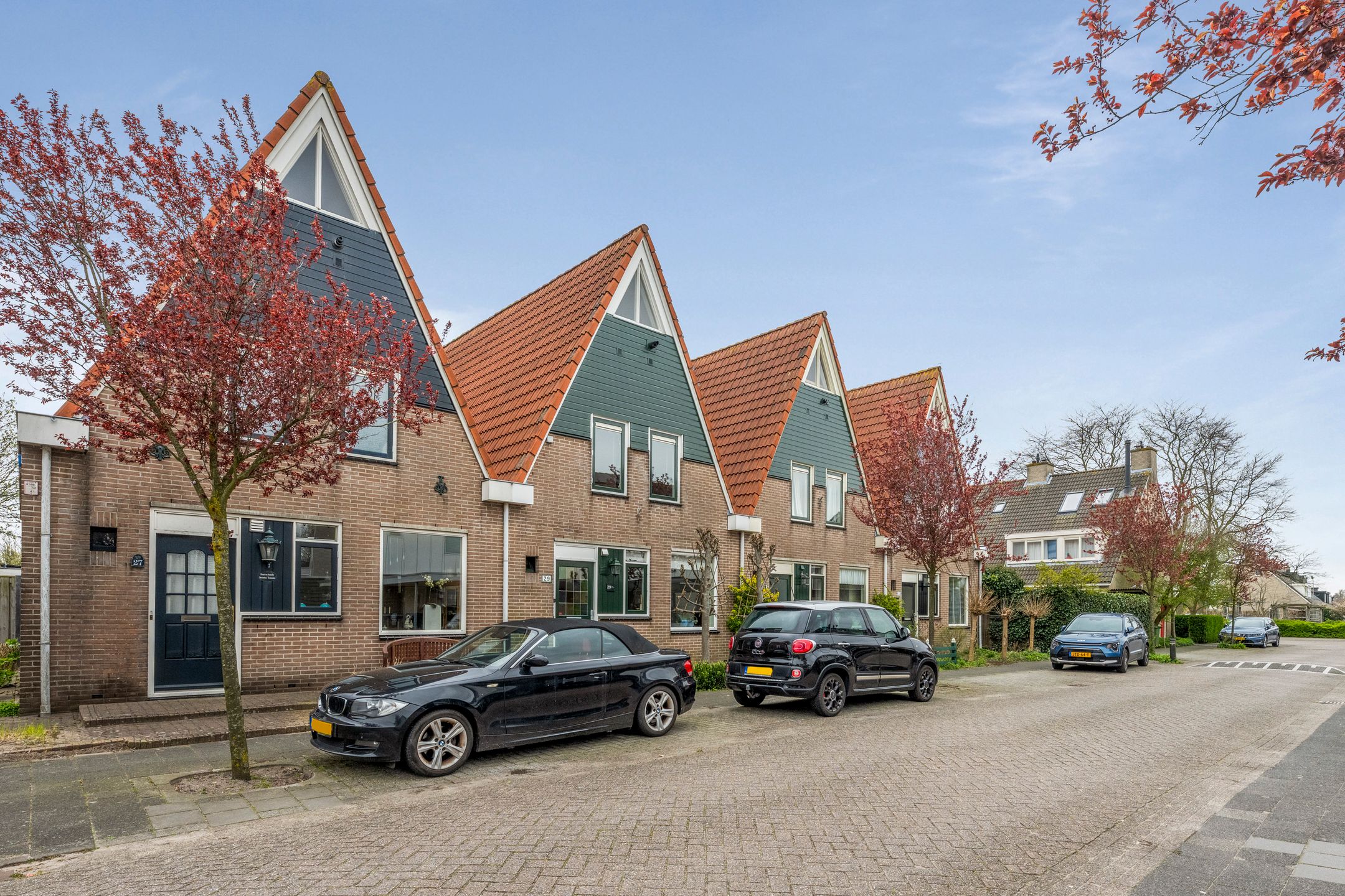 Foto 48 van Pijlkruid 29