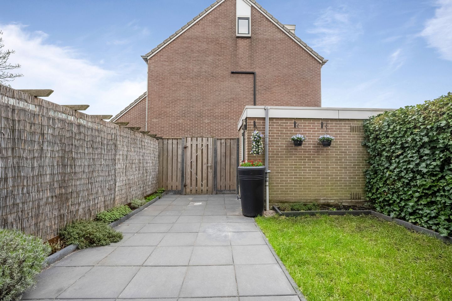 Foto 10 van Pijlkruid 29