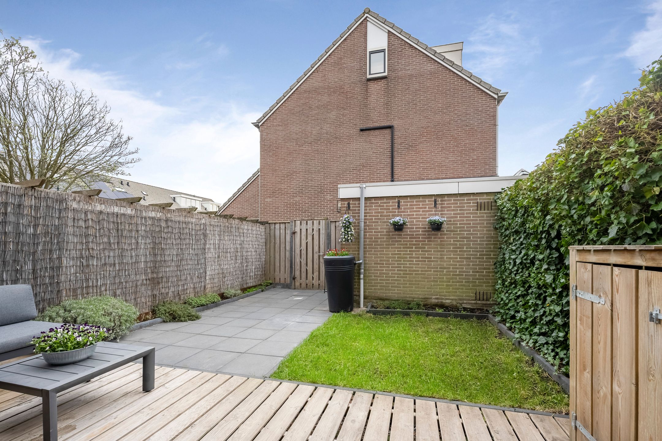 Foto 9 van Pijlkruid 29