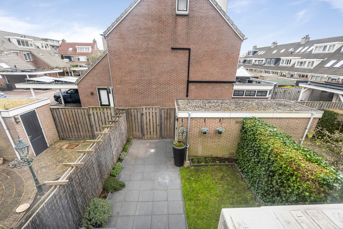 Foto 29 van Pijlkruid 29