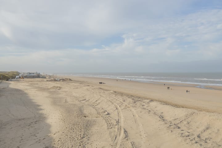 Photo 3 of Adelaert 39