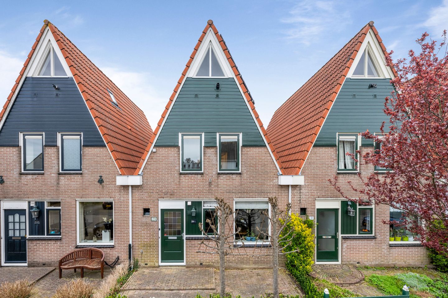 Foto 50 van Pijlkruid 29