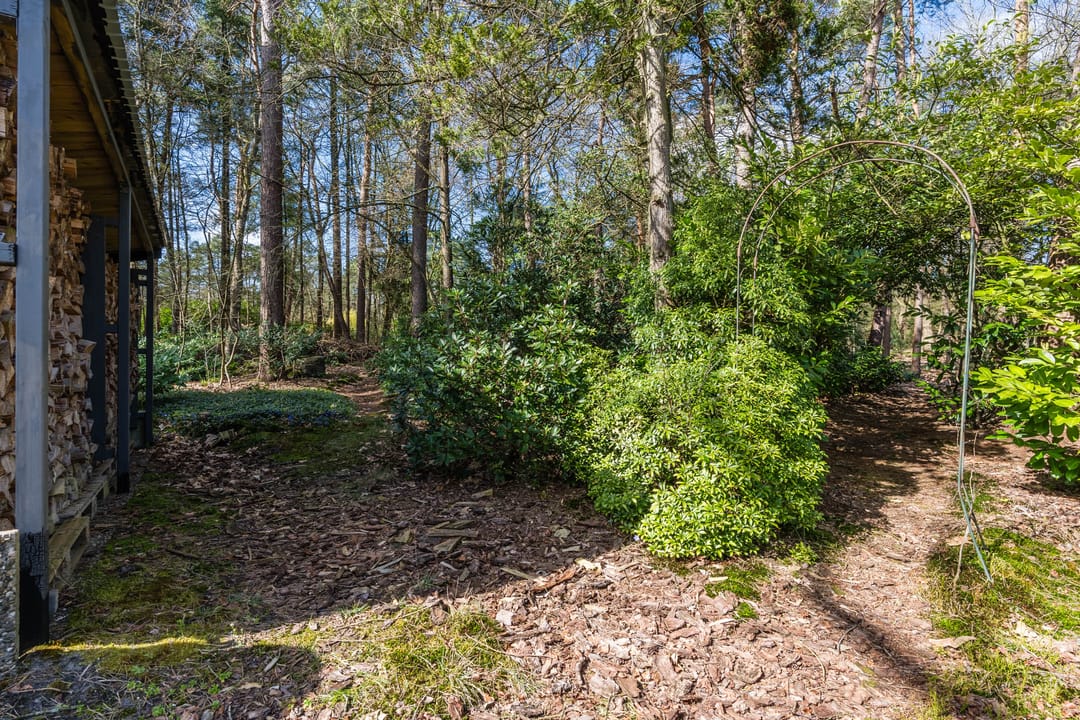 Photo 67 of Mosweg 26