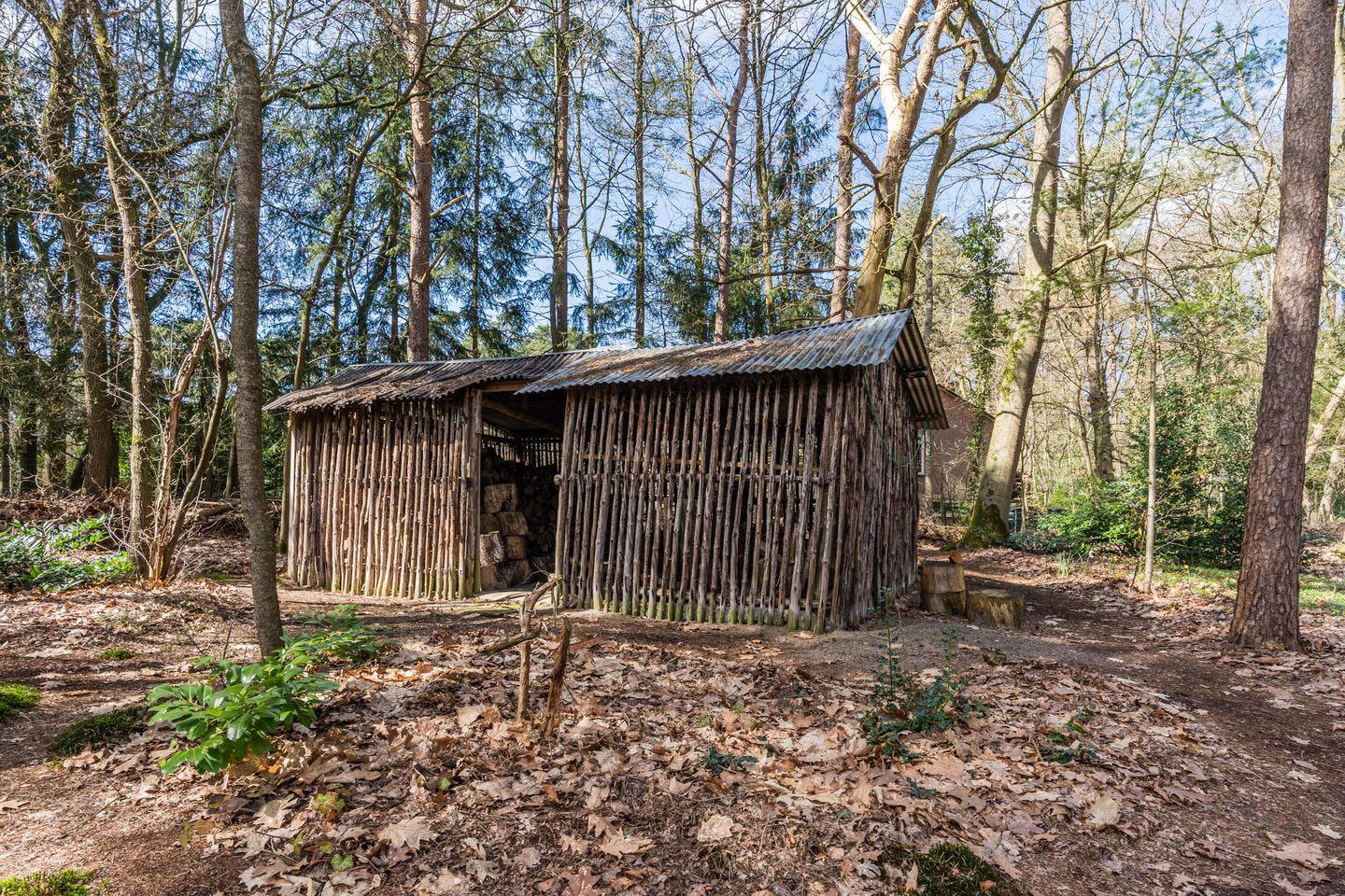 Photo 70 of Mosweg 26