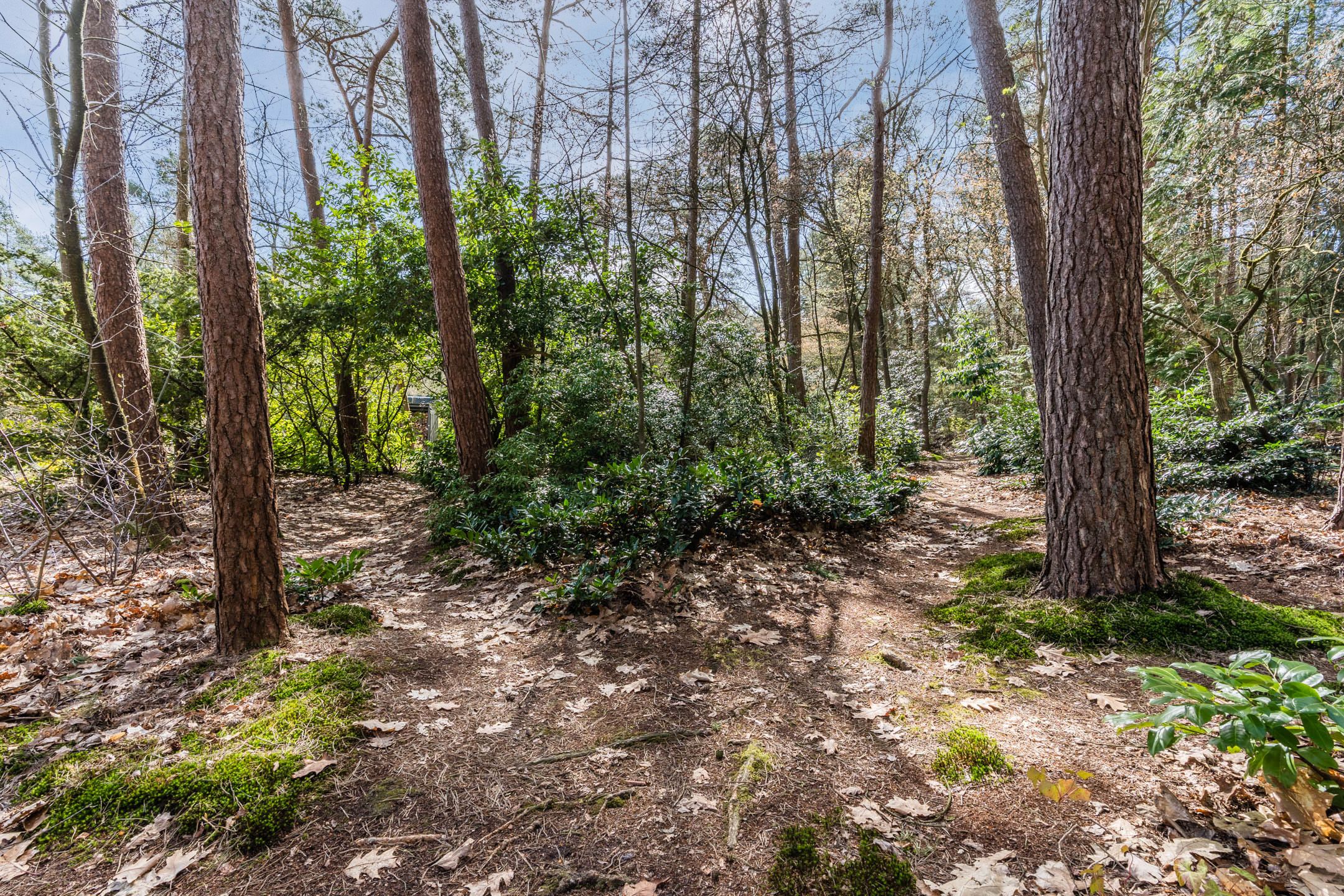 Photo 72 of Mosweg 26