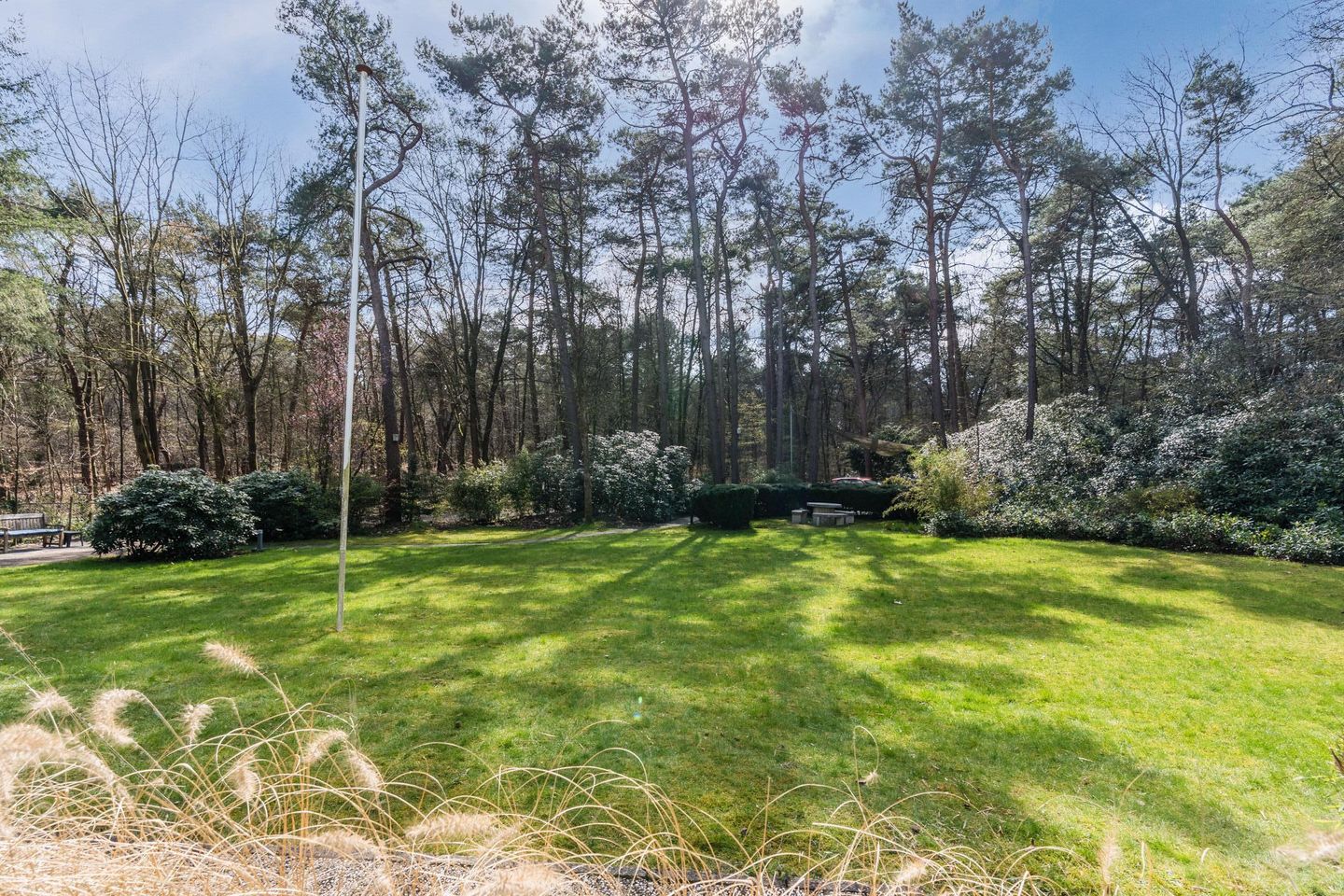 Photo 65 of Mosweg 26