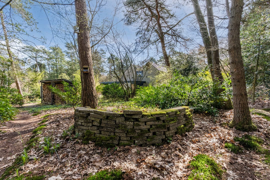 Photo 71 of Mosweg 26