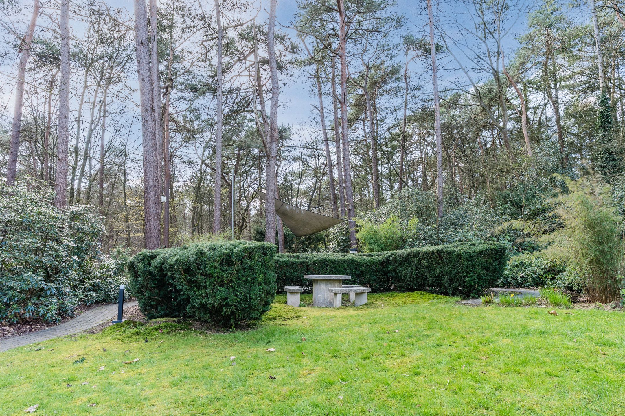 Photo 66 of Mosweg 26