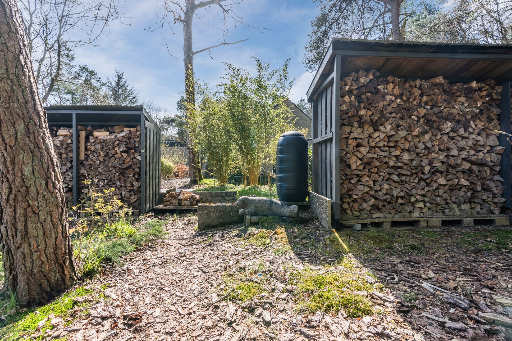 Photo 69 of Mosweg 26