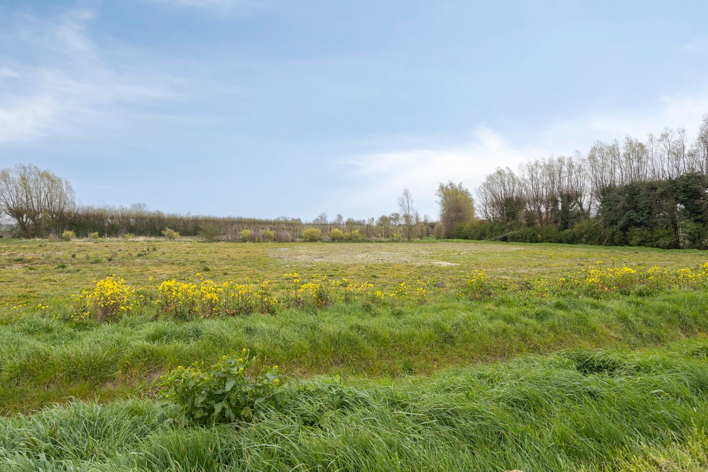 Foto 65 van Bakkersland 32