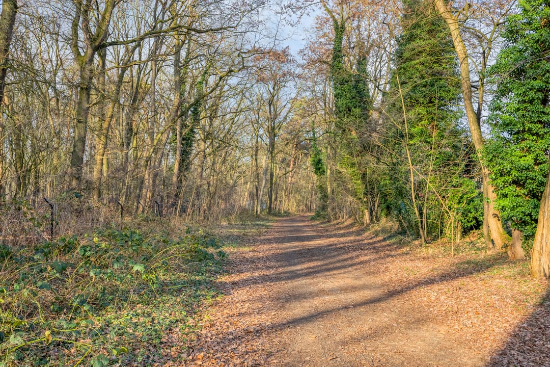 Foto 32 van Dr. Kortmannweg 3-A