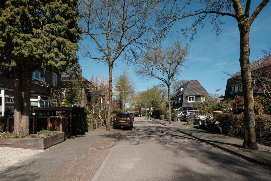 Foto 46 van Sumatralaan 29