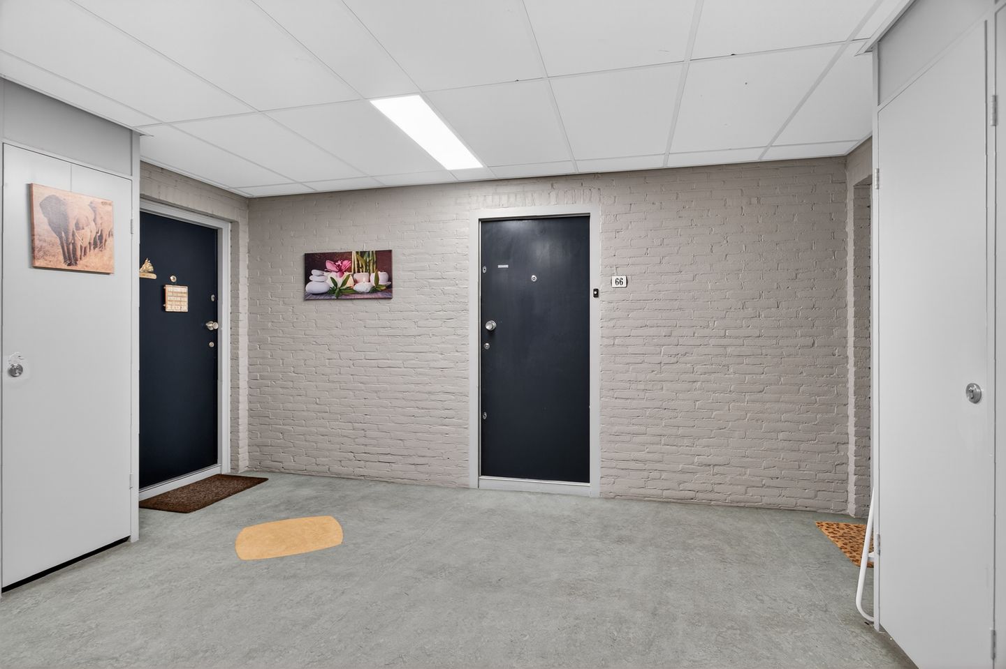 Foto 5 van Dierenriem 66