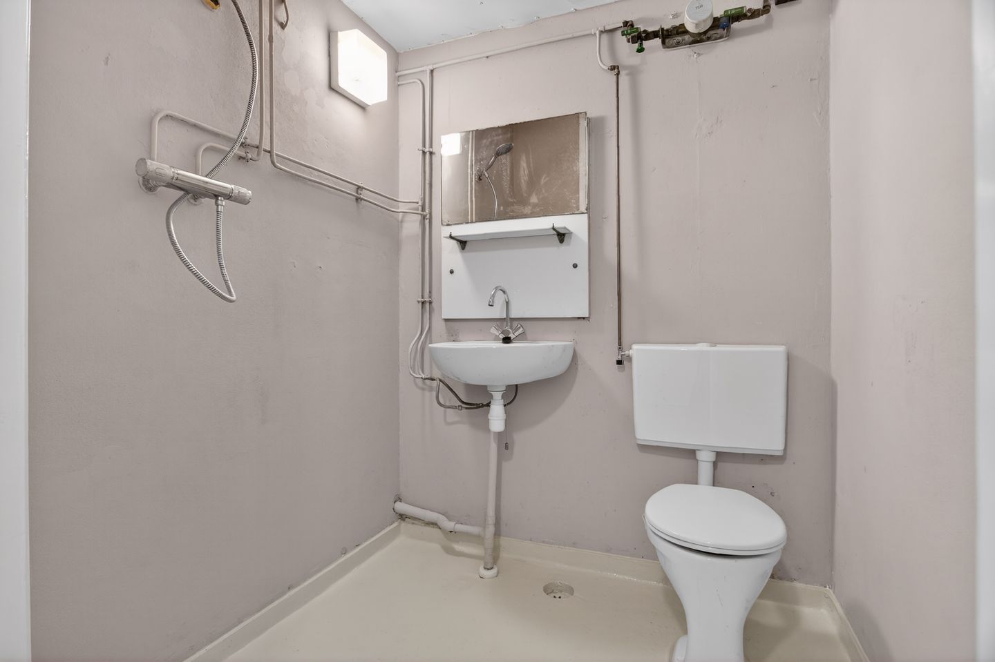 Foto 14 van Dierenriem 66