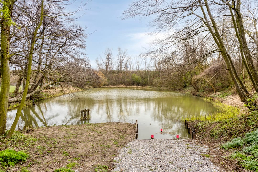 Photo 28 of Burgemeester Rothestraat 22