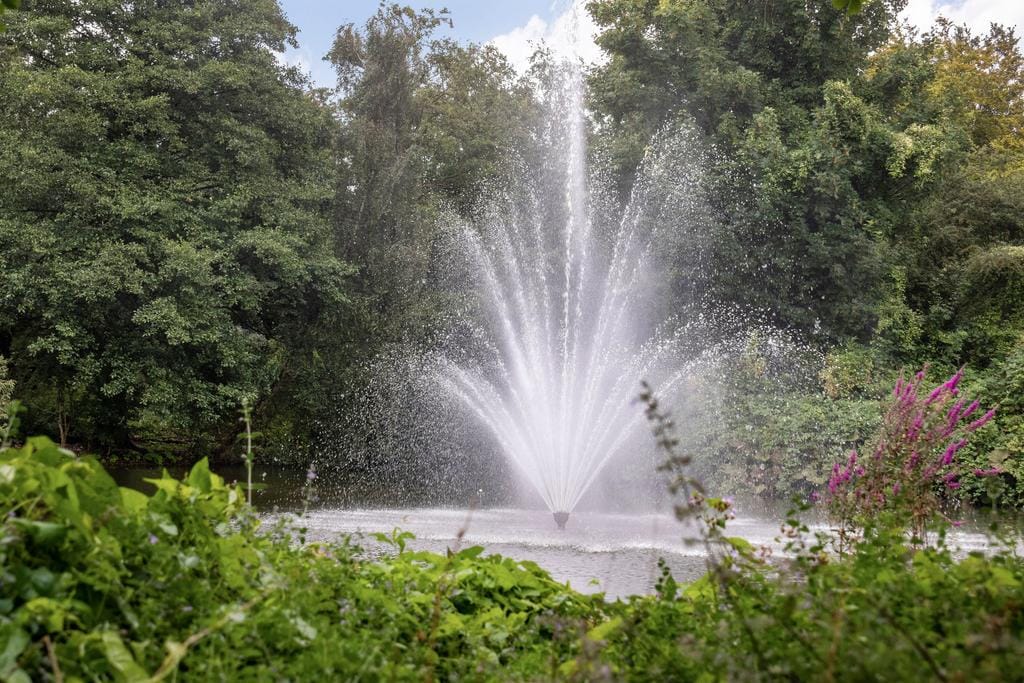 Foto 17 van Dierenriem 66