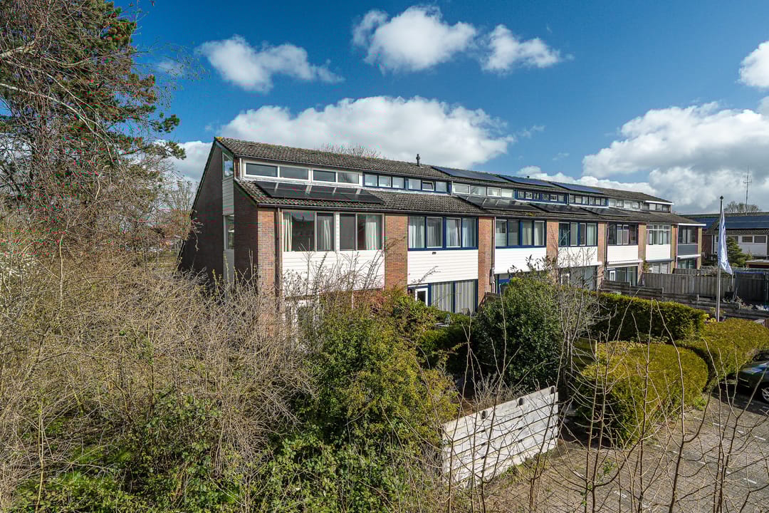 Foto 26 van Lenteklokje 29