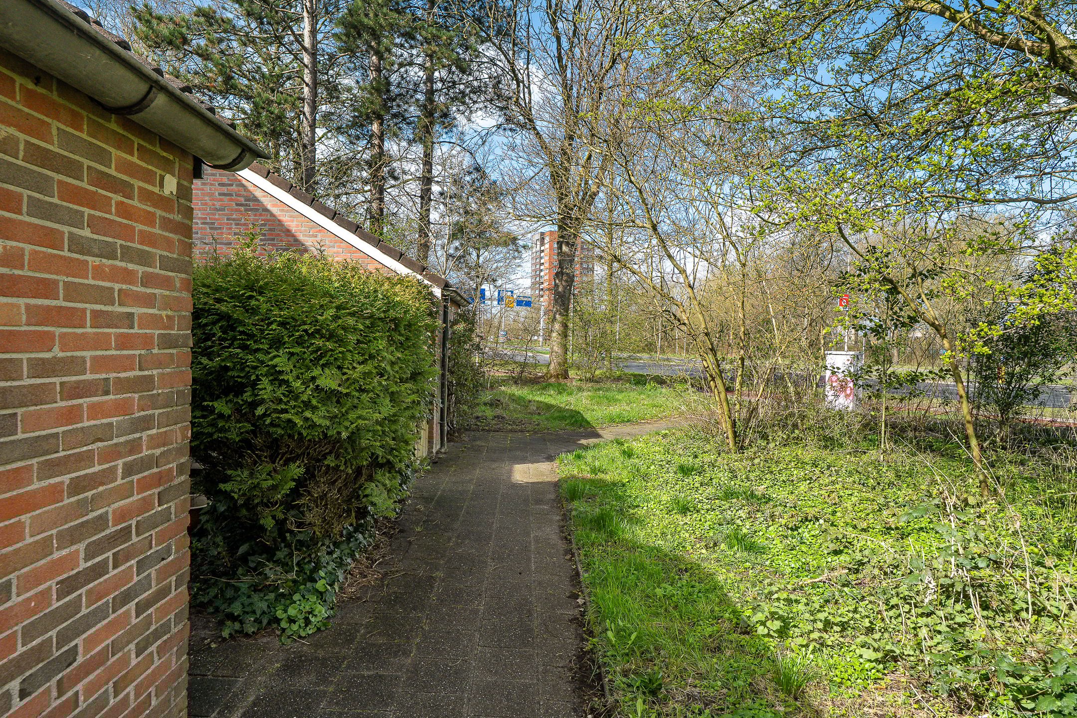 Foto 39 van Lenteklokje 29