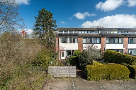 Lenteklokje thumbnail