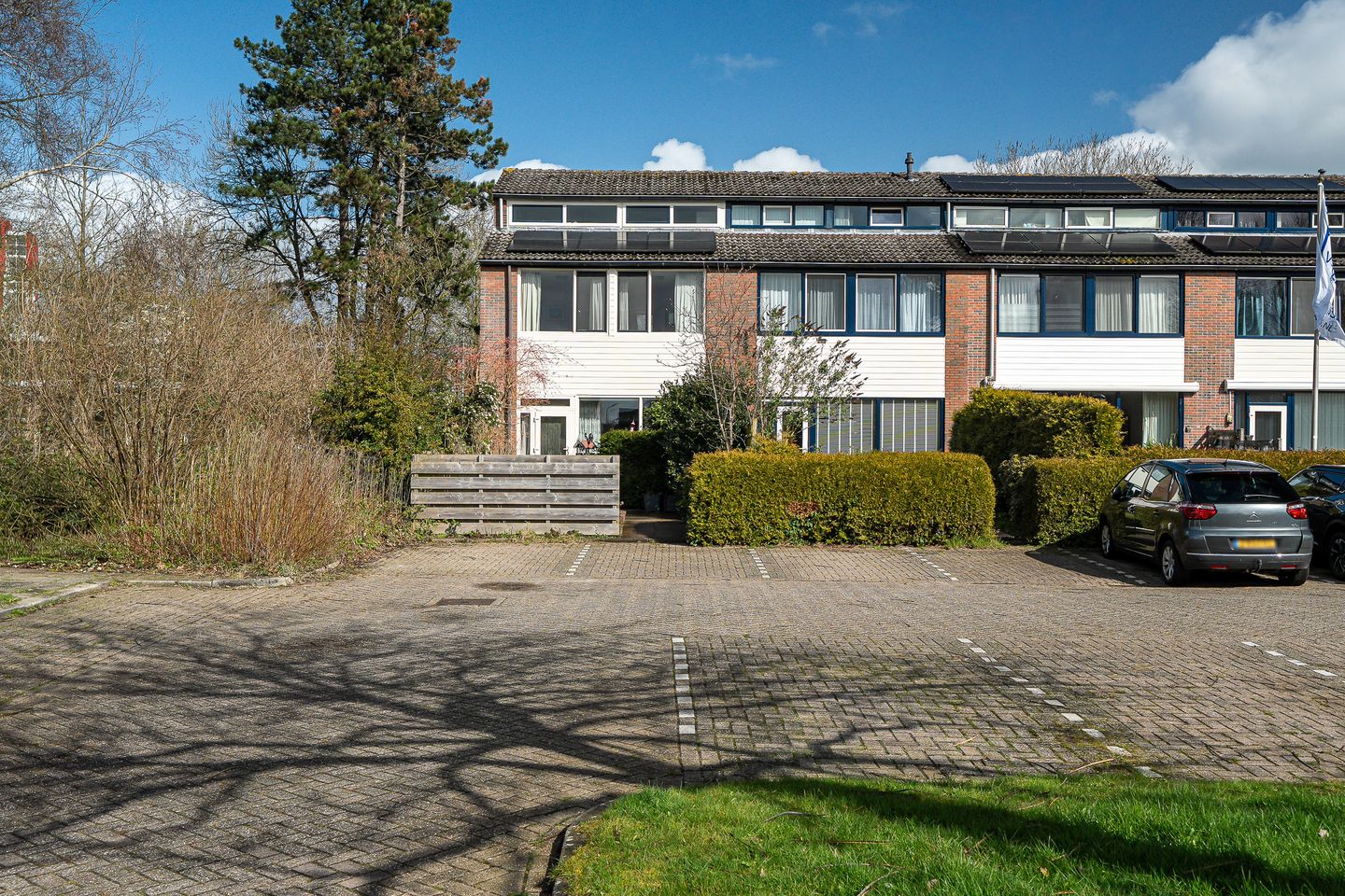 Foto 29 van Lenteklokje 29