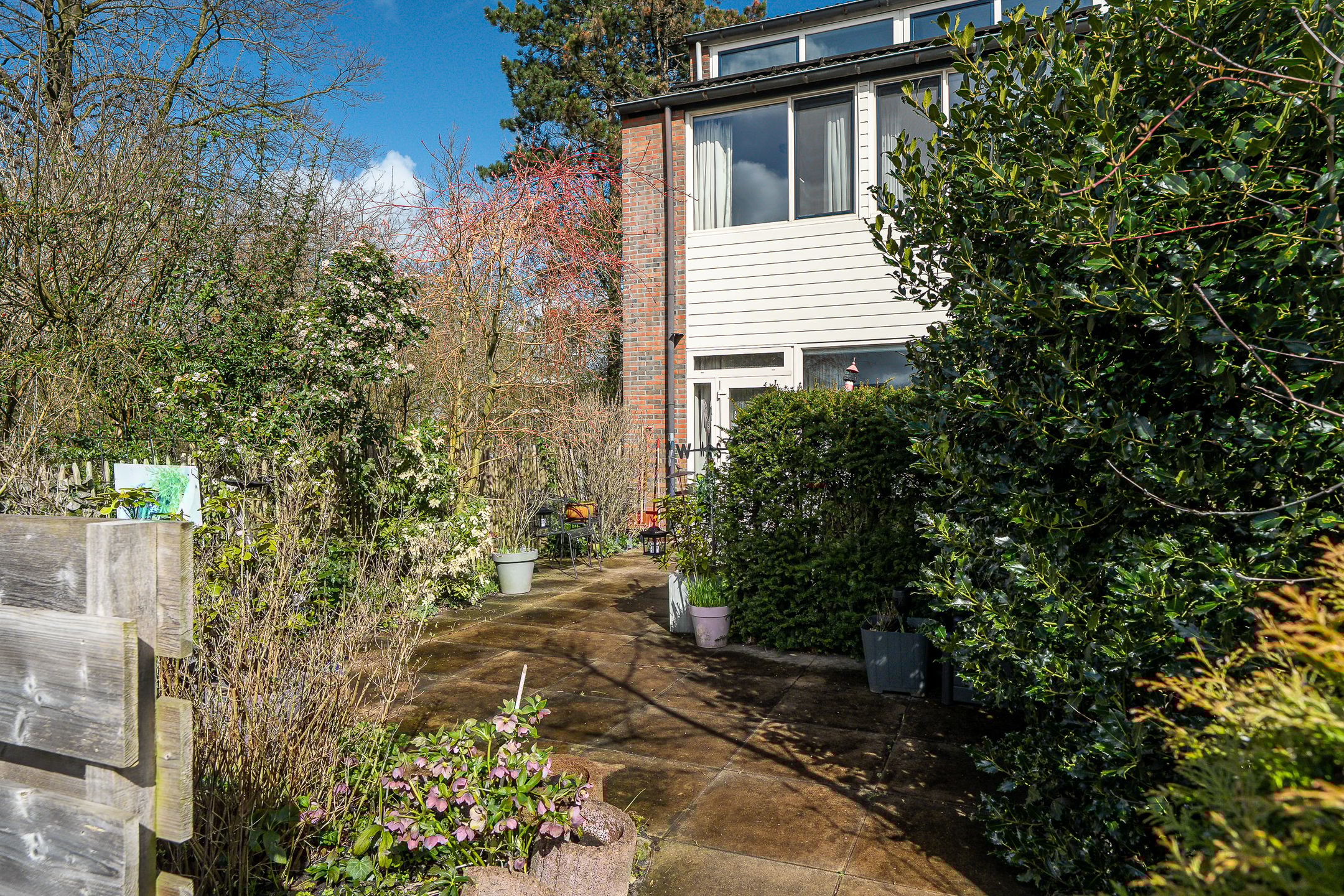 Foto 30 van Lenteklokje 29