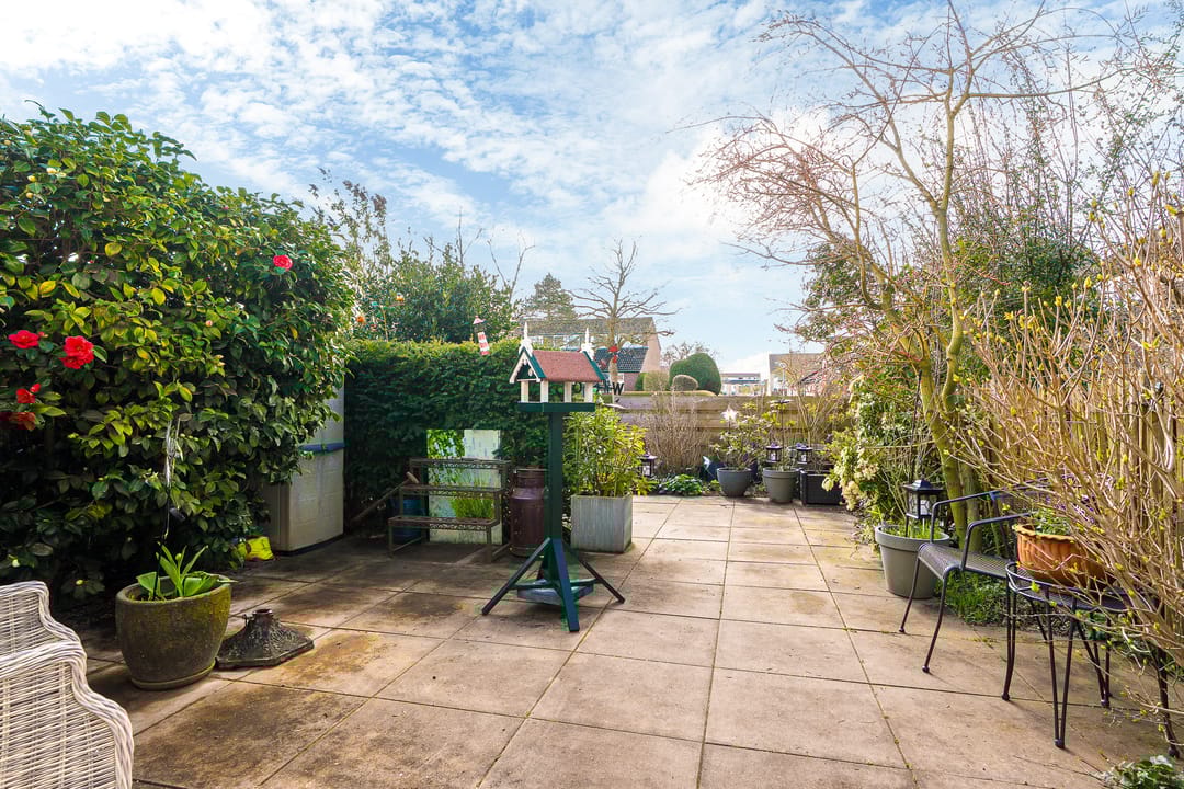 Foto 31 van Lenteklokje 29